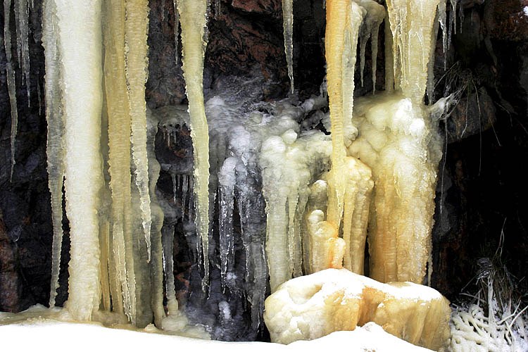 Golden Icicles