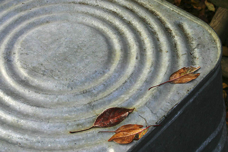 First Frost