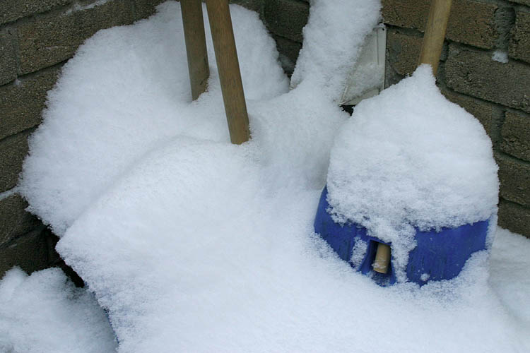 Now There\'s Enough To Bother!!