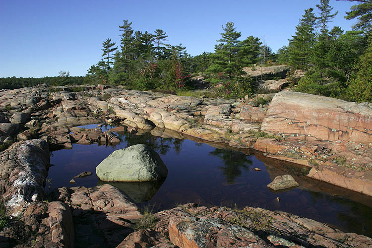 Water, Rocks & Trees