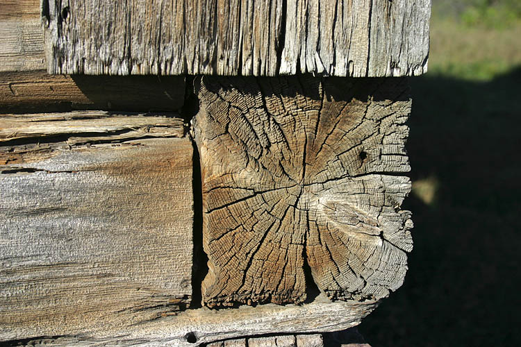 Log Grain