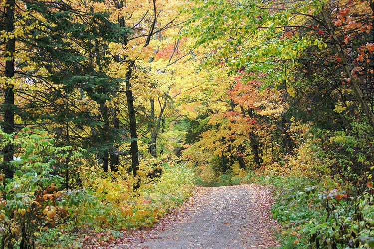 Road To Gargantua Bay