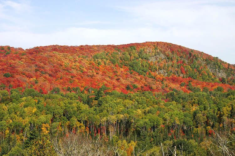 Algoma Hillside