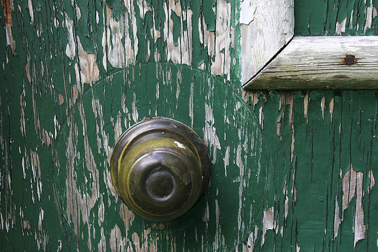 Chicken Coop Door