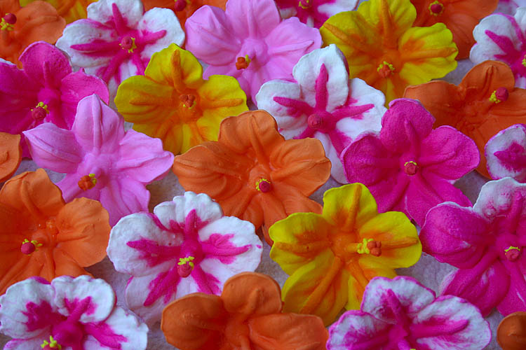 Icing Hibiscus Flowers