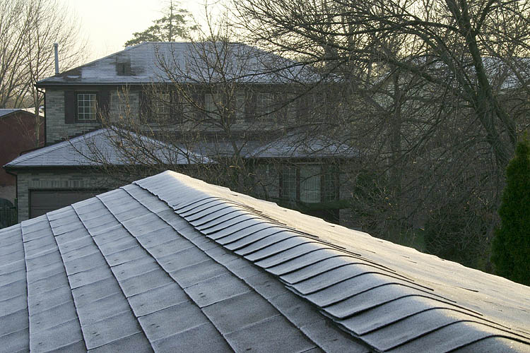 Frosty Morning