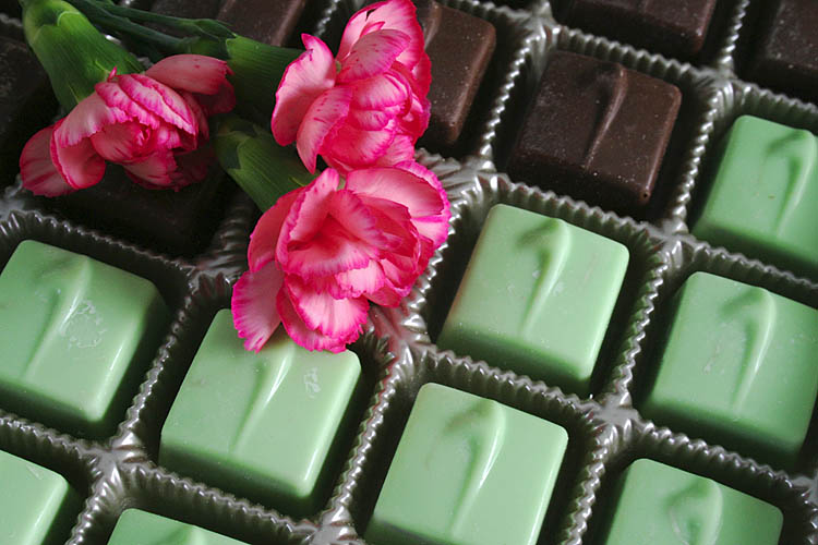 Happy Valentine\'s Day