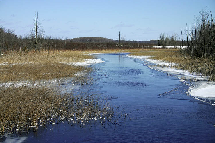 The Kawarthas