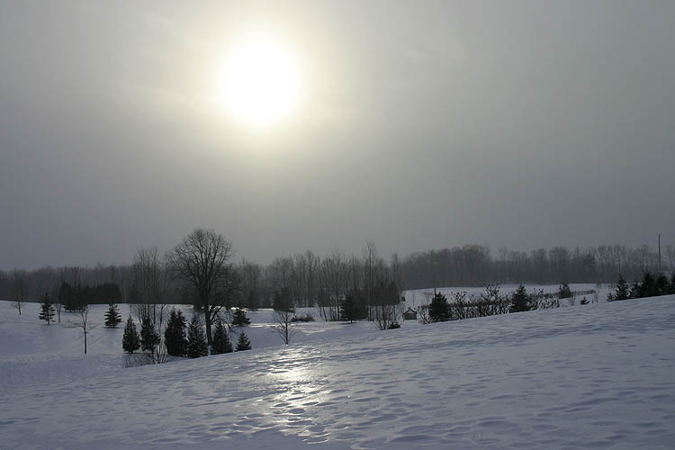 Snowy Evening