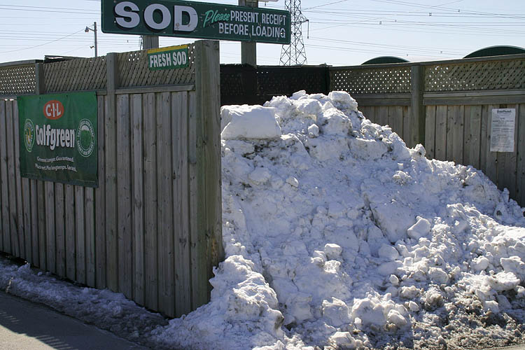 \"Sod\", Anyone?