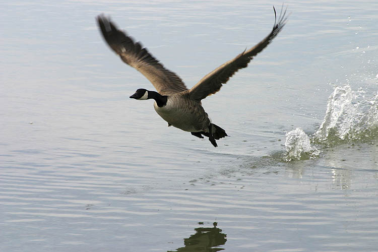Take-Off !!