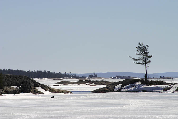 Lone Pine
