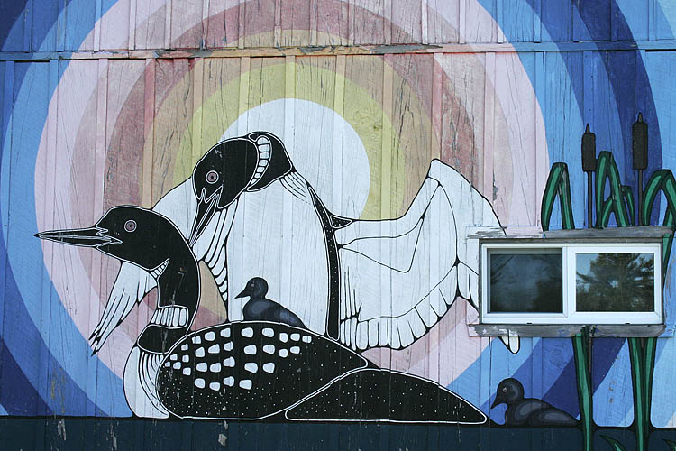 Loons with Window