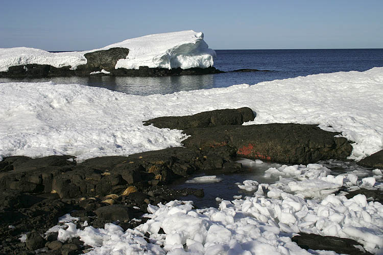 Superior Shoreline