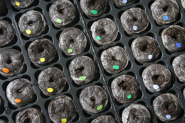 Jiffy Pellets