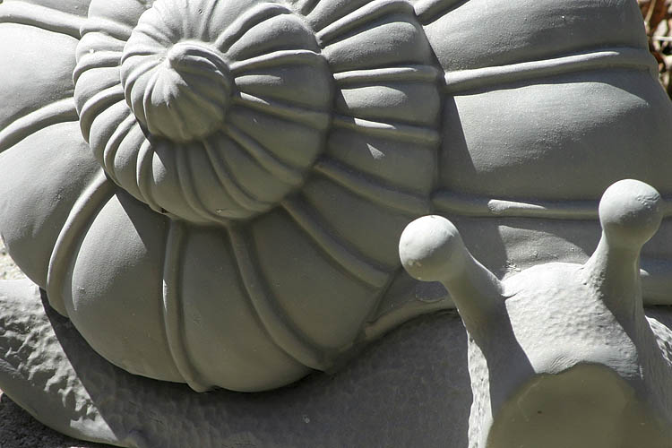 Concrete Snail