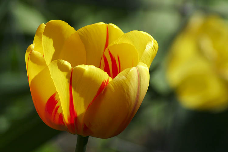 Spring is Here!