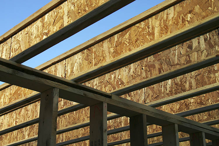 Ceiling Joists