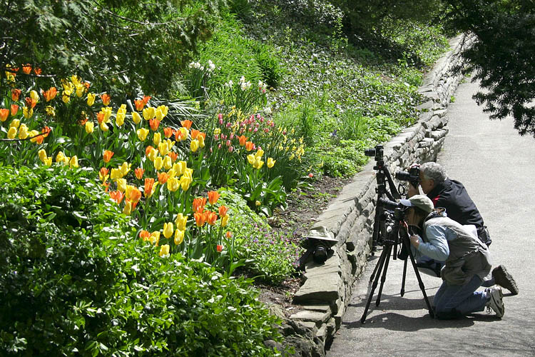 Photography Class