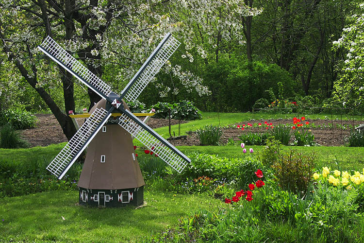 Dad\'s Garden