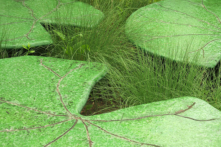 Discovery Garden
