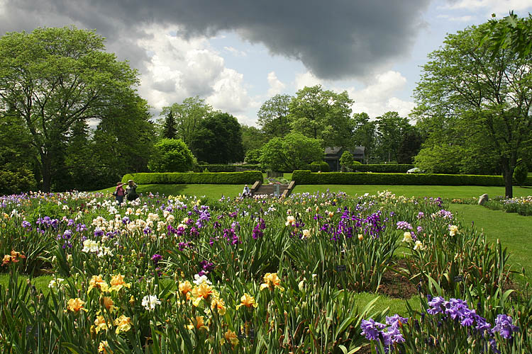  Iris Gardens