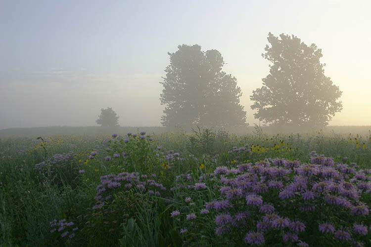 Dawn Along the Missouri