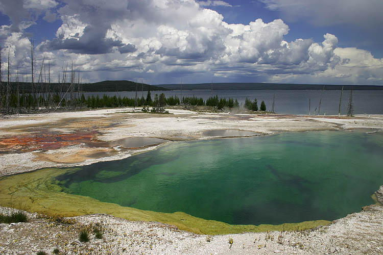Abyss Pool