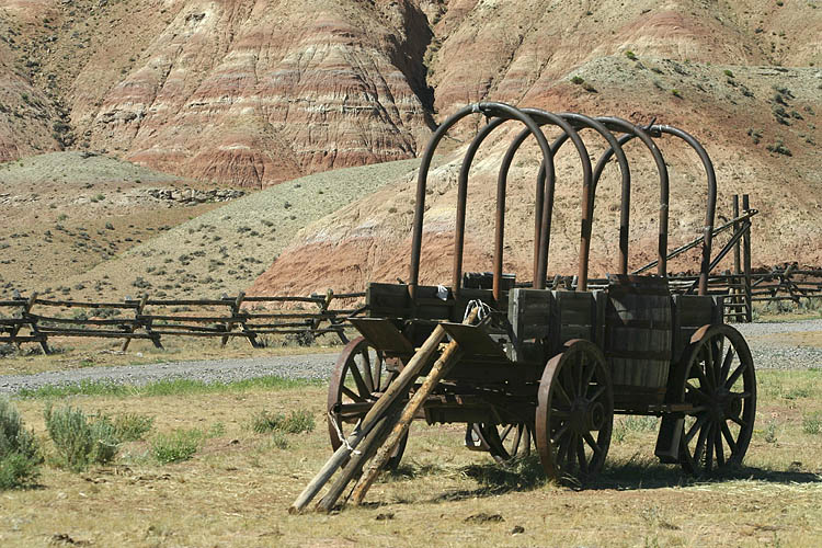 Pioneer Motor Home
