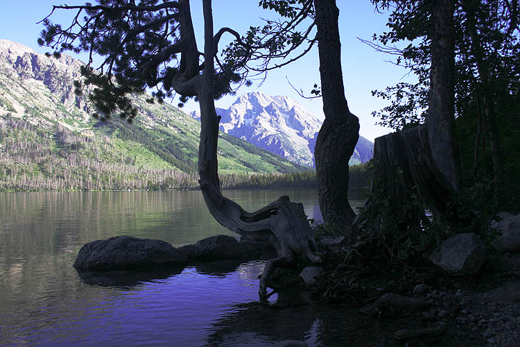 Jenny Lake