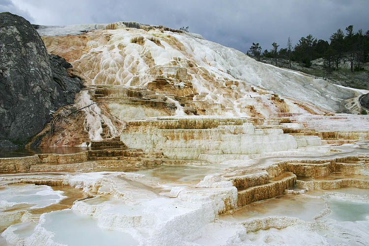 Palette Spring