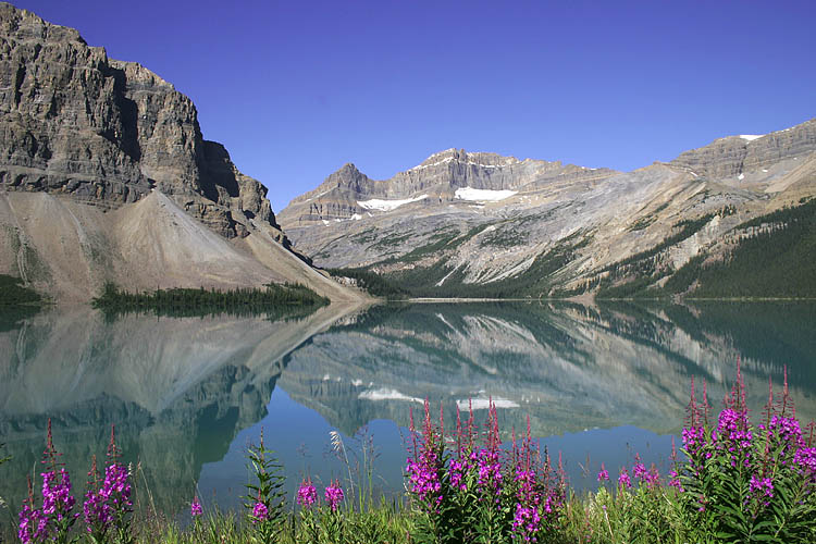 Bow Lake
