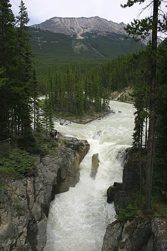 Sunwapta Falls