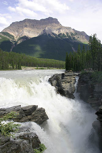 Athabasca Falls