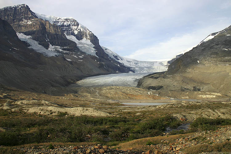 Athabasca Glacier