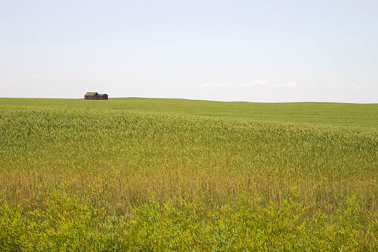 The Lonely Prairie