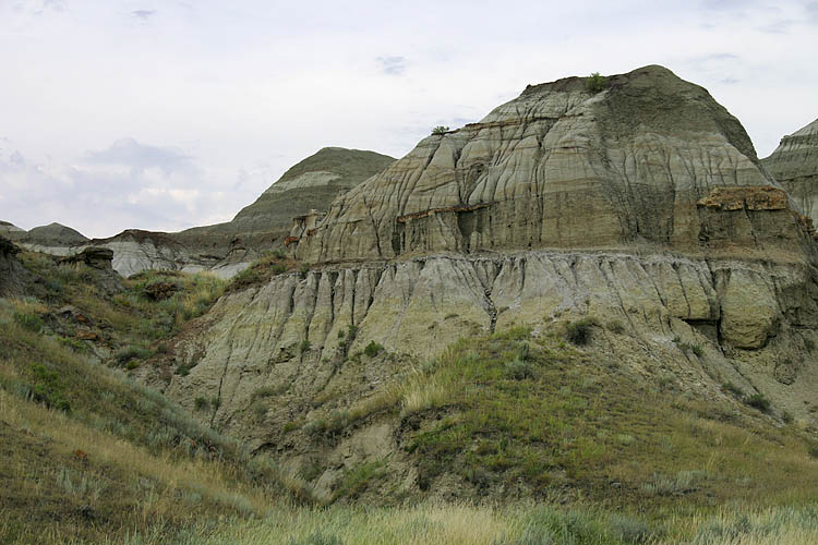 Alberta Badlands