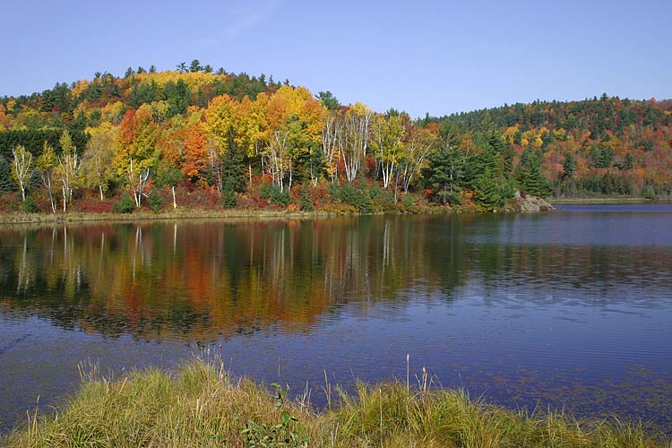 Appleby Lake