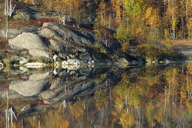 Sunny Rocks