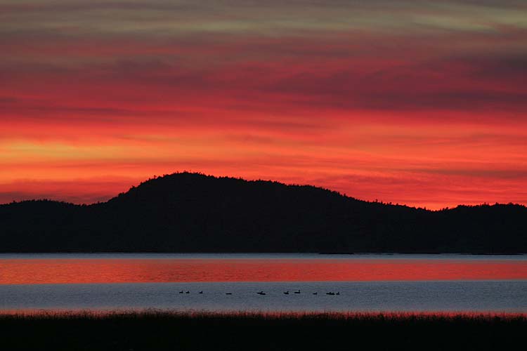 Progression of a Sunset #4