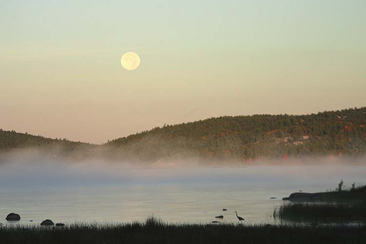 Misty Morning, Setting Moon