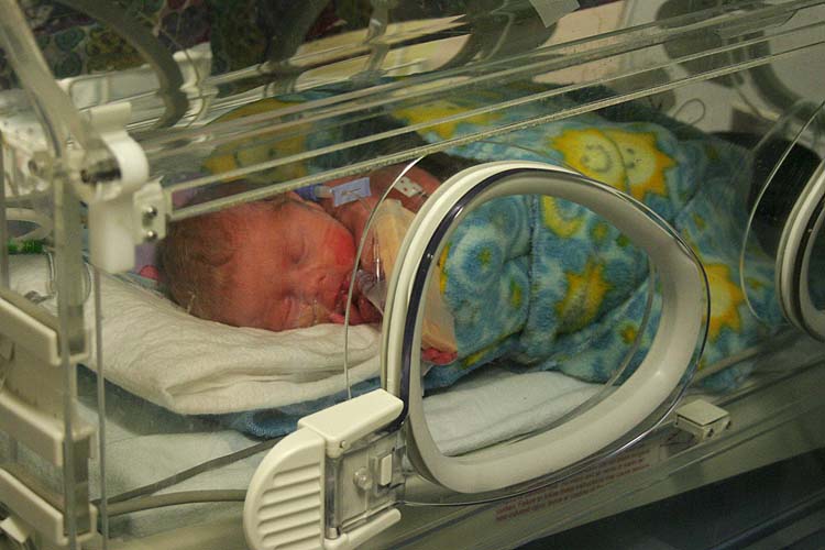 In the Incubator