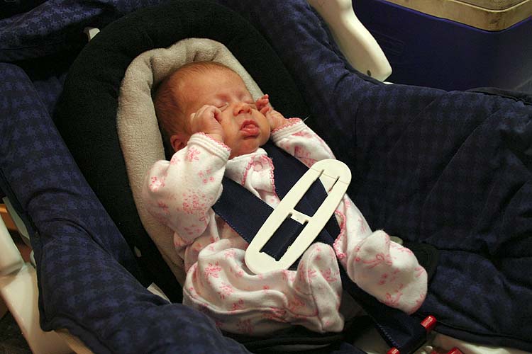 The Car Seat