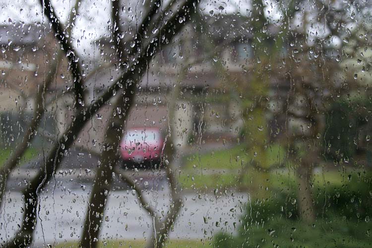 Second Day of Winter