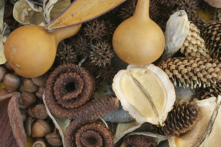 Natural Materials