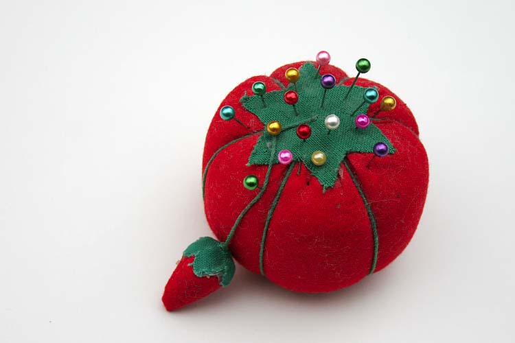 Pin Cushion Portrait