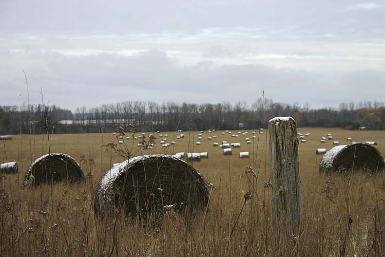 White Bales