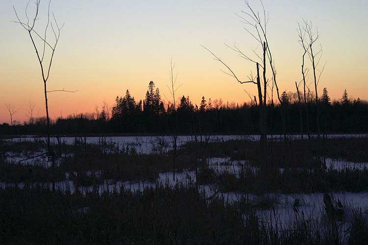 Winter Dusk