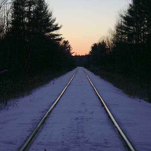 Into the Night