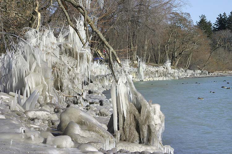 Icy Wonderland